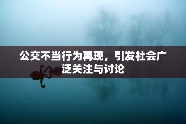 公交不当行为再现，引发社会广泛关注与讨论