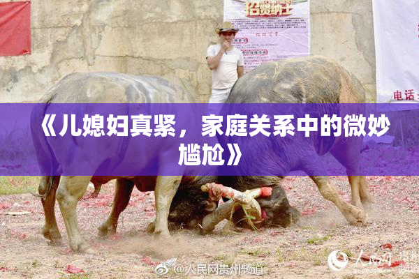 《儿媳妇真紧，家庭关系中的微妙尴尬》