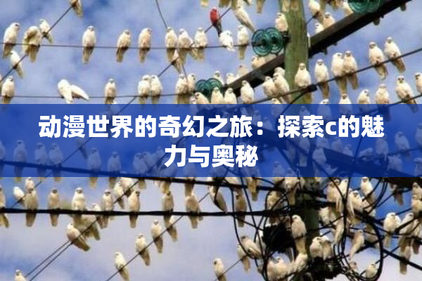 动漫世界的奇幻之旅：探索c的魅力与奥秘