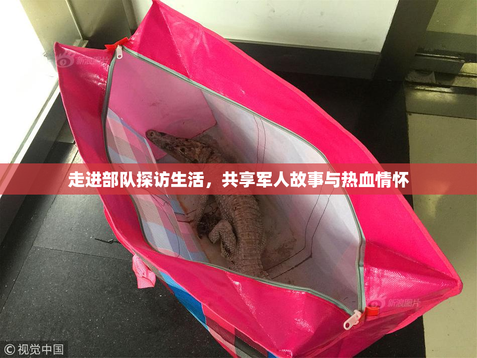 走进部队探访生活，共享军人故事与热血情怀