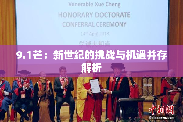 9.1芒：新世纪的挑战与机遇并存解析