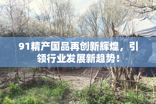 91精产国品再创新辉煌，引领行业发展新趋势！