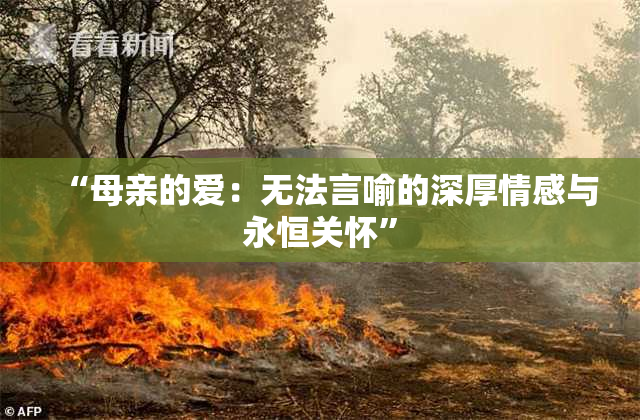“母亲的爱：无法言喻的深厚情感与永恒关怀”