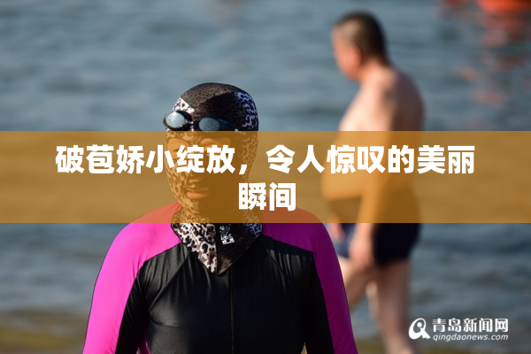 破苞娇小绽放，令人惊叹的美丽瞬间