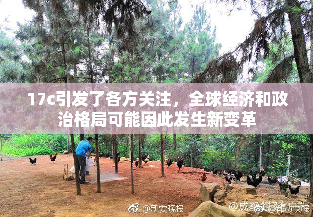 17c引发了各方关注，全球经济和政治格局可能因此发生新变革