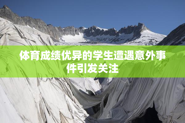 体育成绩优异的学生遭遇意外事件引发关注