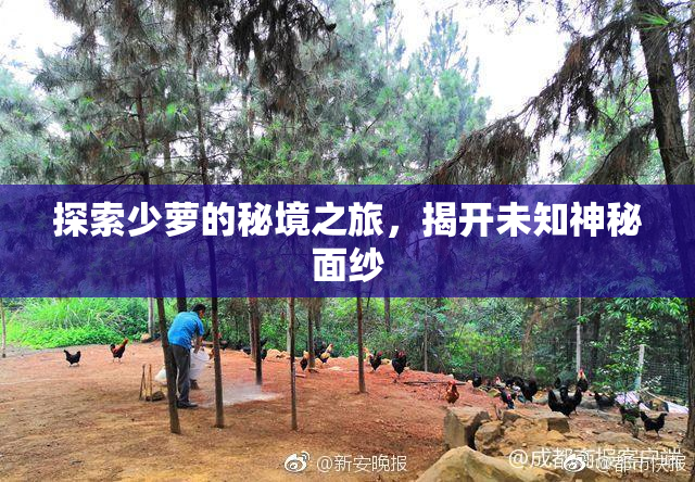 探索少萝的秘境之旅，揭开未知神秘面纱