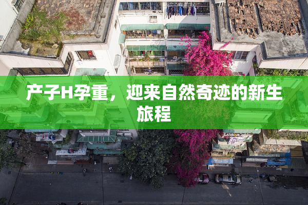 产子H孕重，迎来自然奇迹的新生旅程