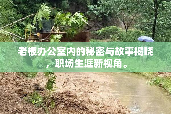 老板办公室内的秘密与故事揭晓，职场生涯新视角。