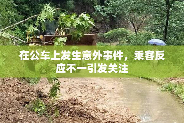 在公车上发生意外事件，乘客反应不一引发关注