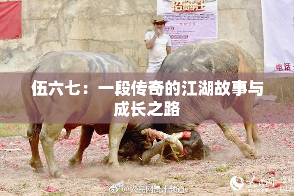 伍六七：一段传奇的江湖故事与成长之路