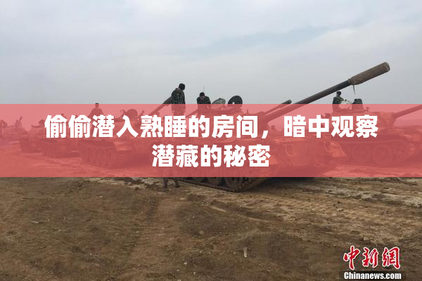 偷偷潜入熟睡的房间，暗中观察潜藏的秘密