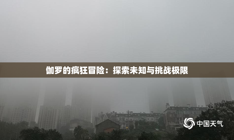 伽罗的疯狂冒险：探索未知与挑战极限