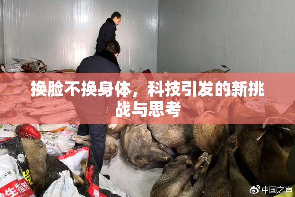 换脸不换身体，科技引发的新挑战与思考