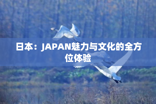 日本：JAPAN魅力与文化的全方位体验