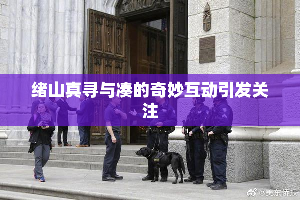 绪山真寻与凑的奇妙互动引发关注