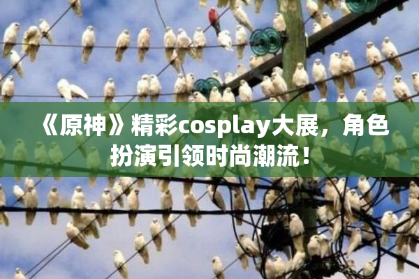 《原神》精彩cosplay大展，角色扮演引领时尚潮流！
