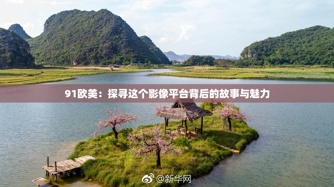 91欧美：探寻这个影像平台背后的故事与魅力