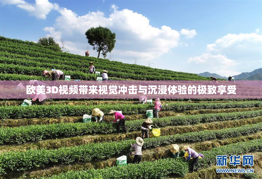 欧美3D视频带来视觉冲击与沉浸体验的极致享受