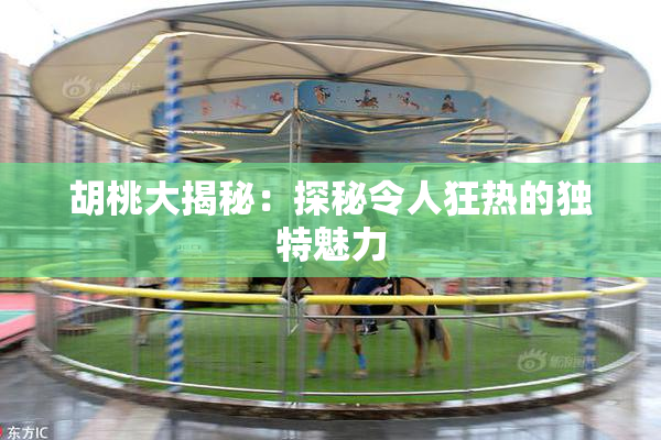 胡桃大揭秘：探秘令人狂热的独特魅力