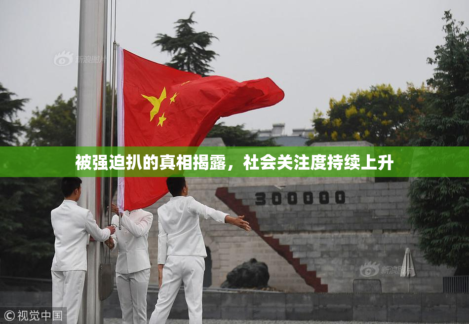 被强迫扒的真相揭露，社会关注度持续上升