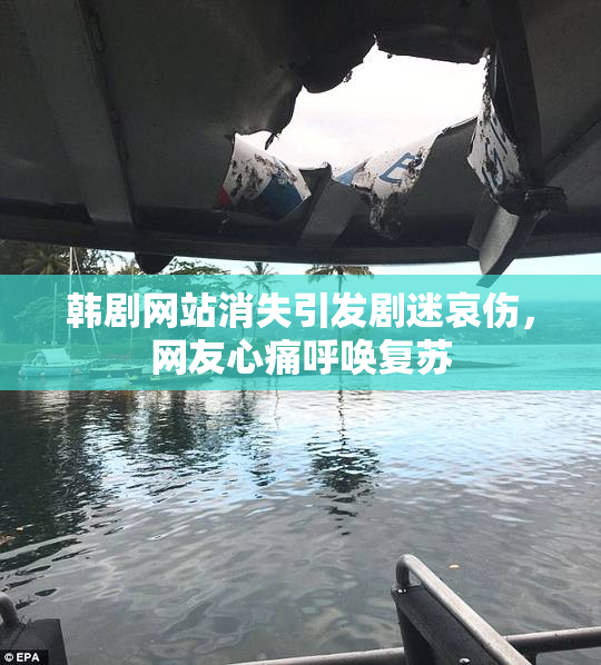 韩剧网站消失引发剧迷哀伤，网友心痛呼唤复苏