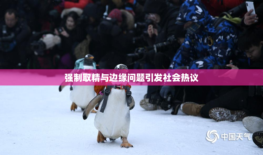 强制取精与边缘问题引发社会热议