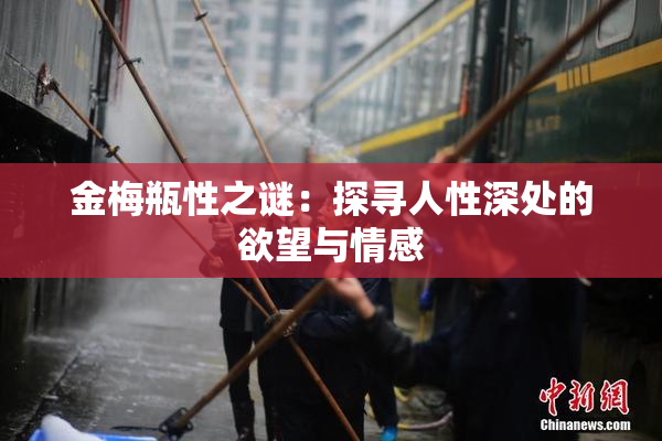 金梅瓶性之谜：探寻人性深处的欲望与情感