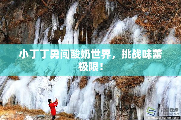 小丁丁勇闯酸奶世界，挑战味蕾极限！