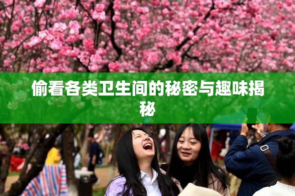 偷看各类卫生间的秘密与趣味揭秘