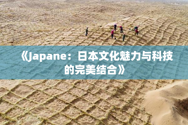 《Japane：日本文化魅力与科技的完美结合》
