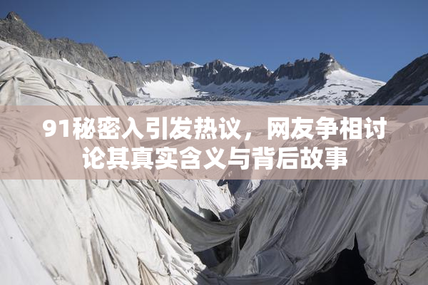 91秘密入引发热议，网友争相讨论其真实含义与背后故事