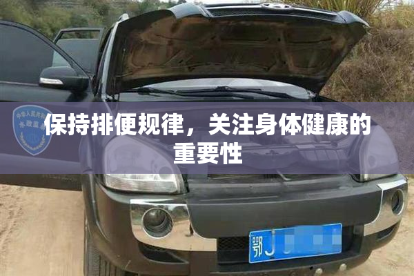 保持排便规律，关注身体健康的重要性