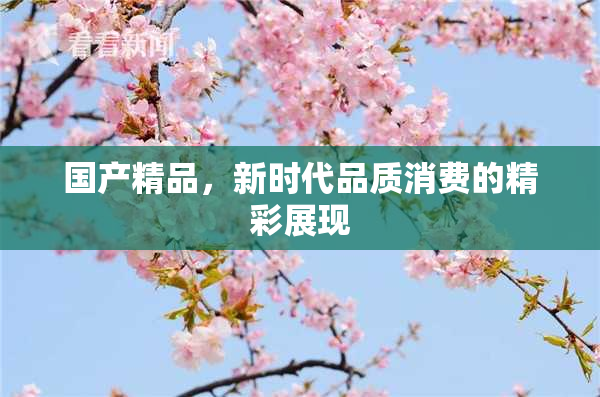 国产精品，新时代品质消费的精彩展现