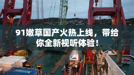 91嫩草国产火热上线，带给你全新视听体验！