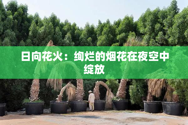 日向花火：绚烂的烟花在夜空中绽放
