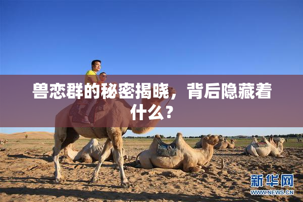 兽恋群的秘密揭晓，背后隐藏着什么？