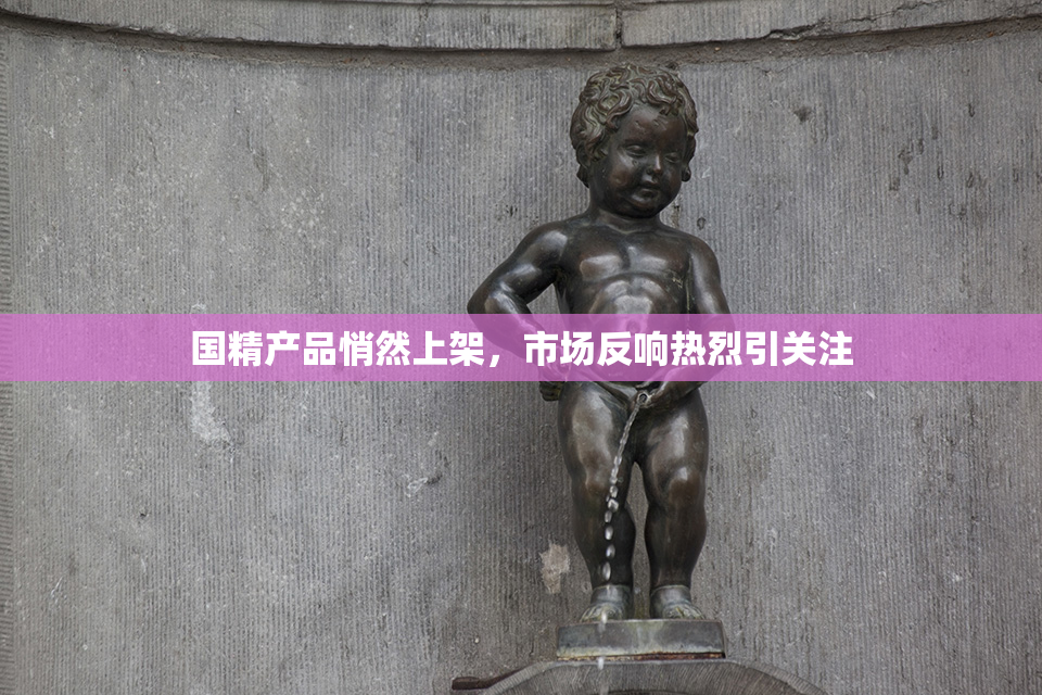 国精产品悄然上架，市场反响热烈引关注