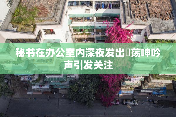 秘书在办公室内深夜发出婬荡呻吟声引发关注