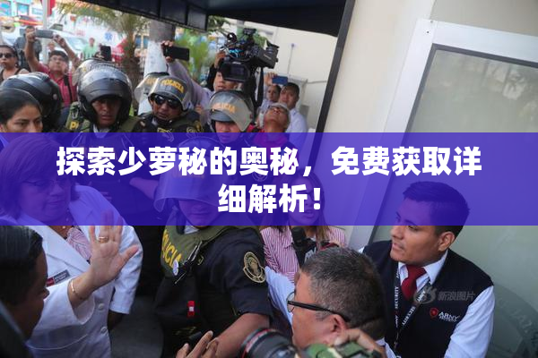 探索少萝秘的奥秘，免费获取详细解析！