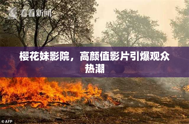 樱花妹影院，高颜值影片引爆观众热潮