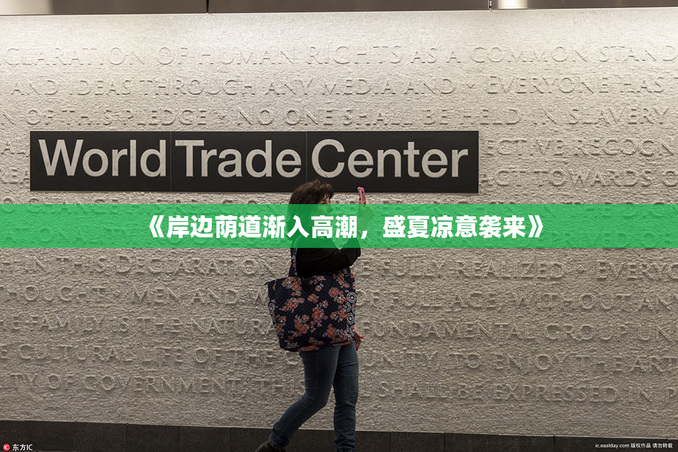《岸边荫道渐入高潮，盛夏凉意袭来》