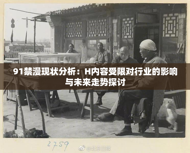91禁漫现状分析：H内容受限对行业的影响与未来走势探讨