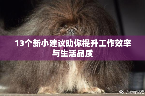 13个新小建议助你提升工作效率与生活品质