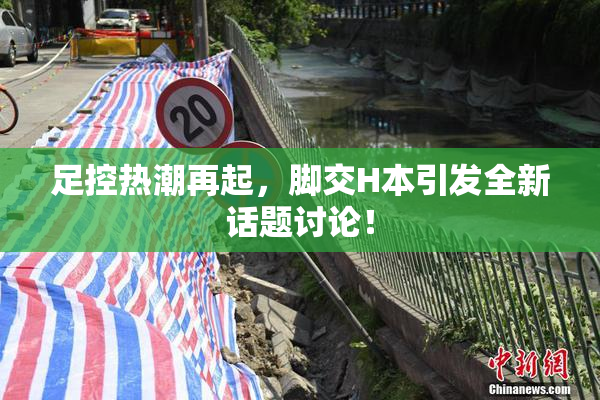 足控热潮再起，脚交H本引发全新话题讨论！