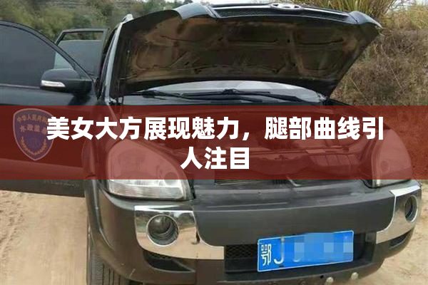 美女大方展现魅力，腿部曲线引人注目