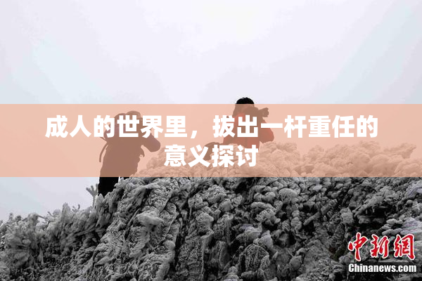 成人的世界里，拔出一杆重任的意义探讨