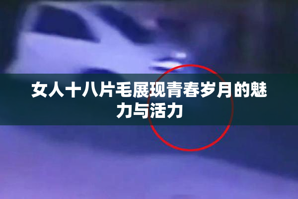 女人十八片毛展现青春岁月的魅力与活力