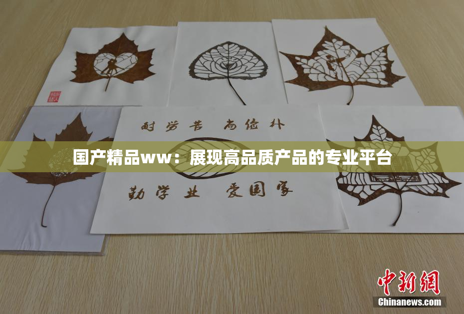 国产精品ww：展现高品质产品的专业平台