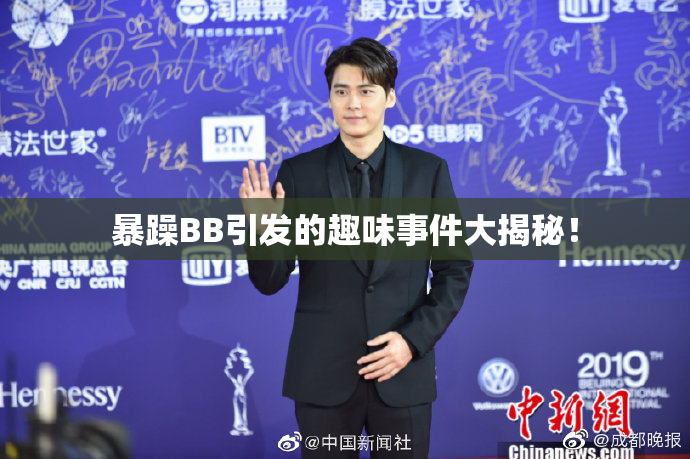 暴躁BB引发的趣味事件大揭秘！